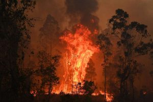 澳洲山火肆虐，傷亡無數（圖：VCG）