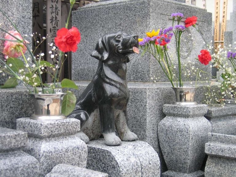 到底為寵物祈福，能否讓牠們往生淨土，日本佛教界現時仍沒有定論（圖：網上圖片）
