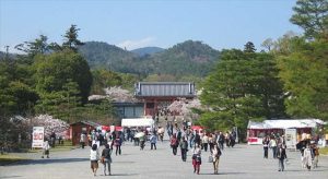 日本仁和寺（圖：japan-guide）