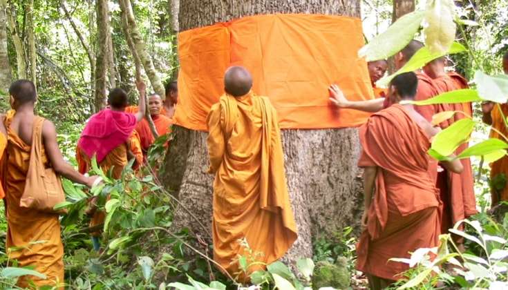 僧人用袈裟給樹木包紮樹幹（圖：宗教與保護聯盟）