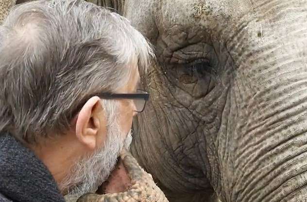 雖然相隔多年，大象並沒有忘記恩人亞當斯（圖：Neunkircher Zoo Facebook）