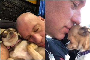 波比對狗狗的愛心，療癒了他的喪妻之痛（圖：Big Guy, Littles World Sanctuary Facebook）。