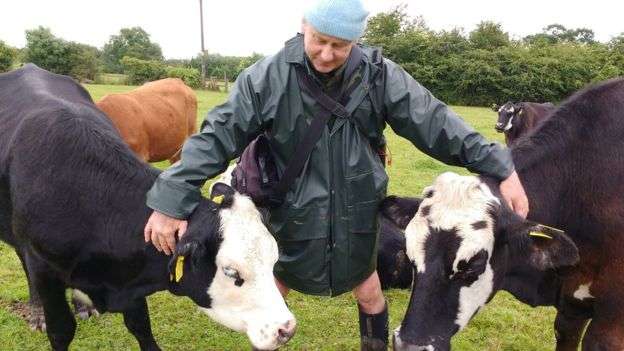維爾德將有機牛肉農場的牛隻送給諾福克動物救援中心（Norfolk rescue centre），讓牠們餘生都備受寵愛（圖：英國廣播公司）。