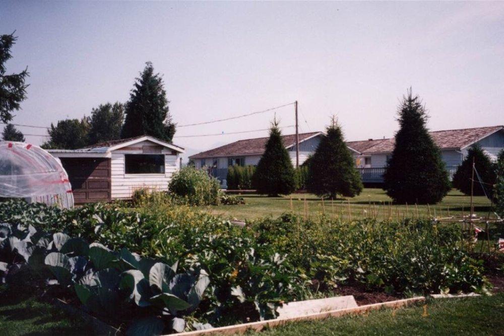 寶林的農田豐收處處 （攝於1996年）