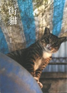 《街貓》作者原為新聞攝影記者，於工作空檔中開始培養拍攝貓貓的興趣，書中的貓神情自然流露，可見葉用了很多心機和貓培養感情。