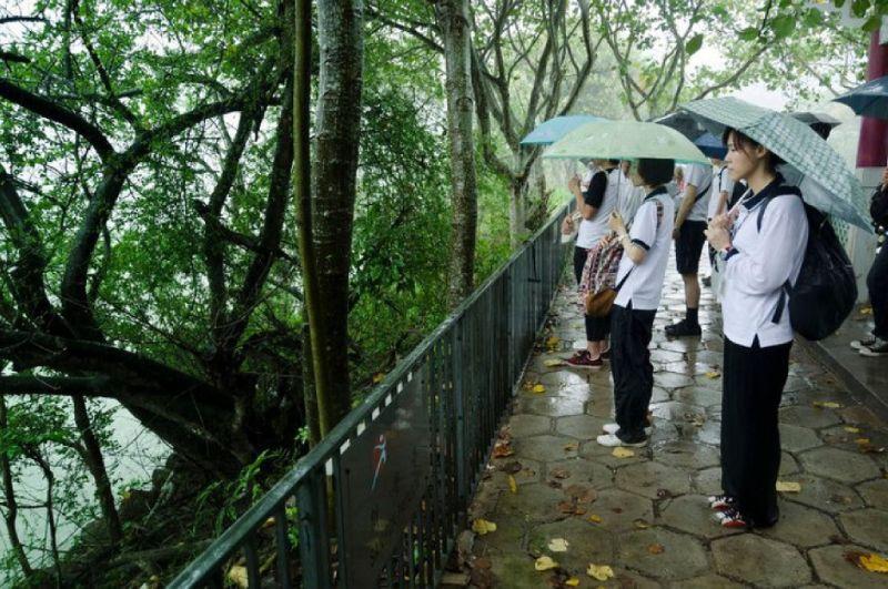好想把雨傘丟開呀！