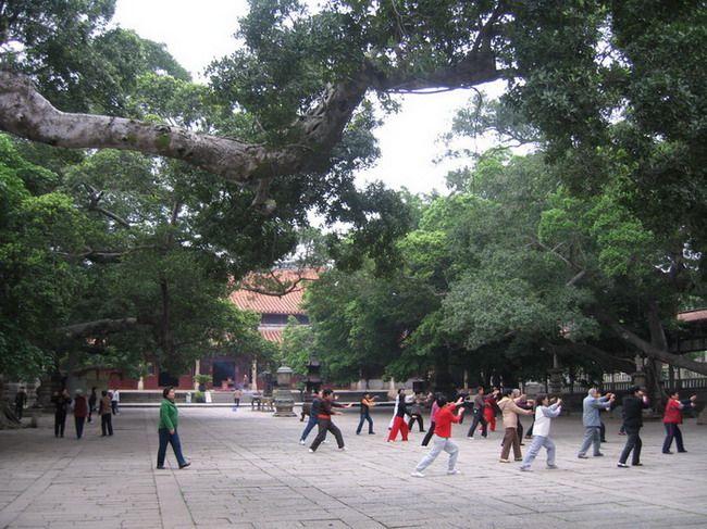 拜庭寬闊的廣場上許多晨運的人們正在打太極拳。