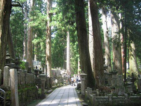 高野山通往弘法大師御廟的青幽古道。