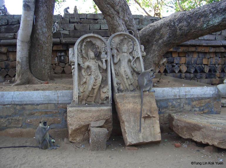 聖菩提樹寺院的圍牆一角，雕刻得非常精美的守護神雕像Nagaraja (Cobra King)。