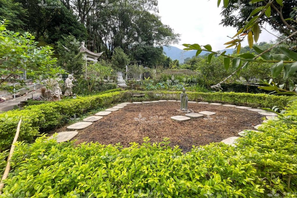 衍悌法師在後山園區開闢耕地，讓小朋友參與「種子計劃」，透過播種領略食物得來不易的道理。