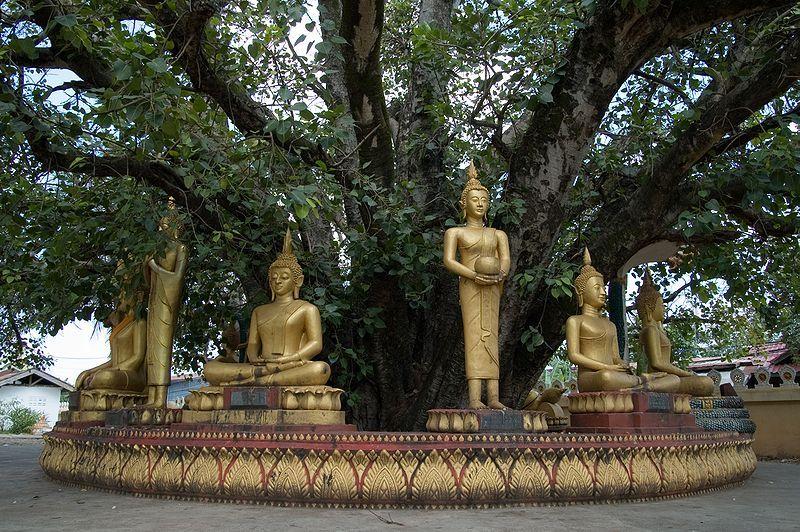 永珍玉佛寺（Haw Phra Kaew）的佛像