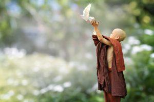圖:Pixabay