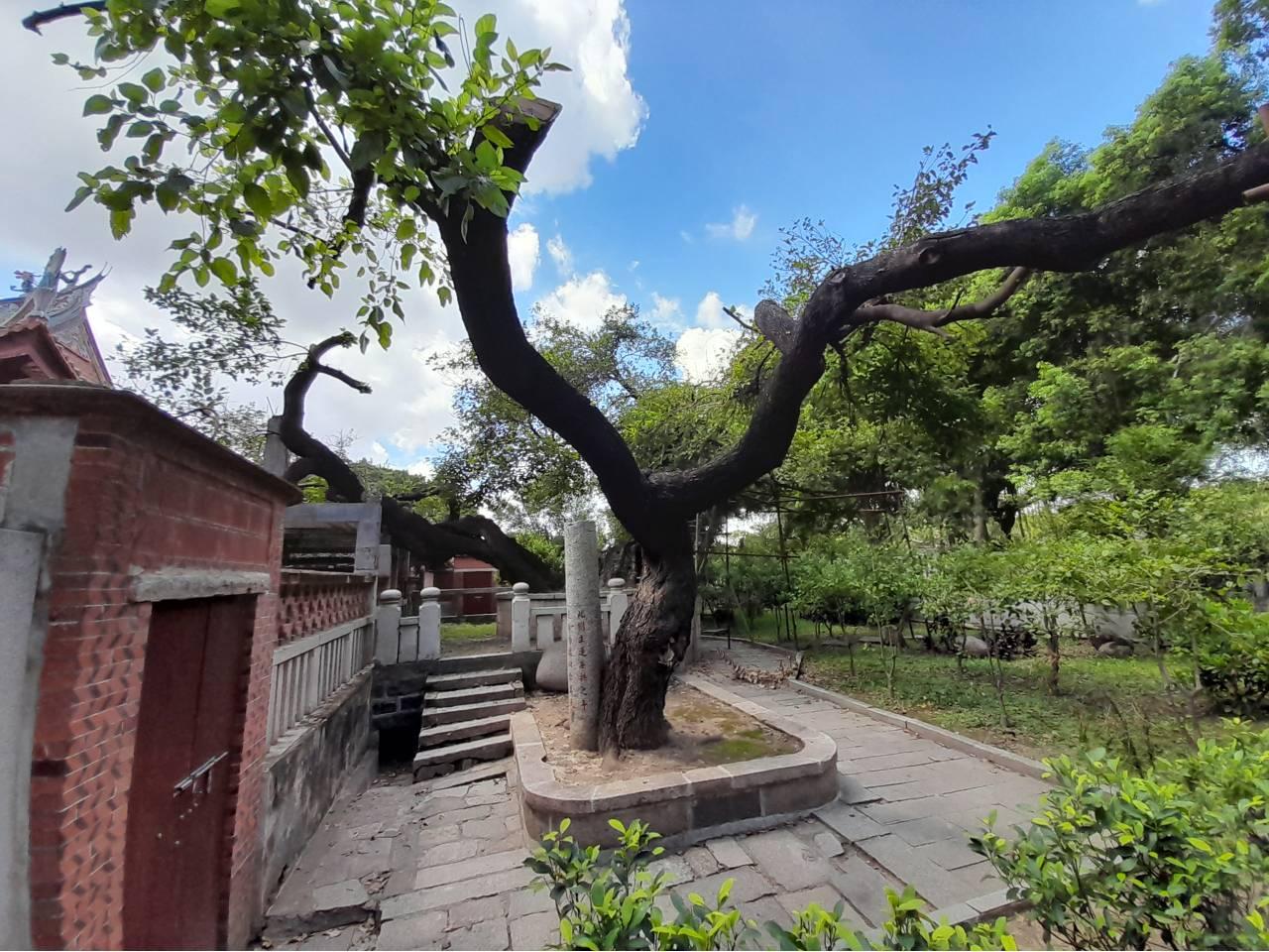 遊泉州開元寺，除了朱熹和弘一法師，別忘了這位大德（下）