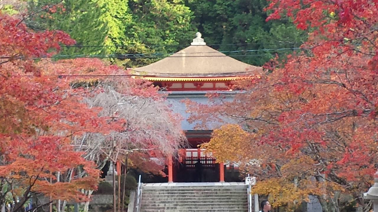 他十九歲獲丁福保邀請為《佛學大字典》寫序、後又為高楠順次郎編纂《大正藏》寫序,他的行儀,收錄在《民國高僧傳》中。為何一位年紀輕輕的學僧,受國內外佛教學者如此器重? 他十九歲獲丁福保邀請為《佛學大字典》寫序、後又為高楠順次郎編纂《大正藏》寫序,他的行儀,收錄在《民國高僧傳》中。為何一位年紀輕輕的學僧,受國內外佛教學者如此器重?