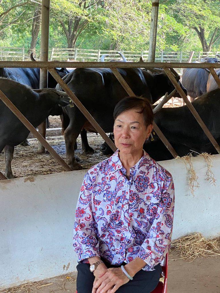 全家總動員來支持農場的蔡太，發願有生之年，會繼續出心照顧老牛。