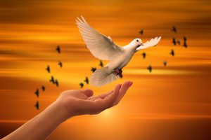 圖:Pixabay