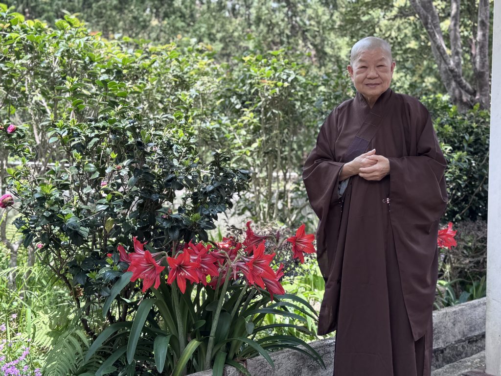 宏量法師旁邊那些紅艷奪目的紅花就是由水仙花演變而來的脫衣換錦。