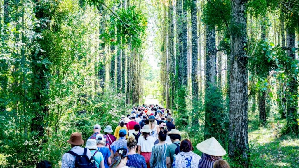 受持過程與修習要求 —— 一行禪師的五項正念修習（五）