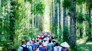 圖:梅村