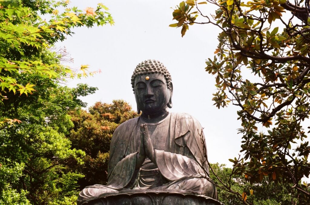 當殘忍成為遊戲——從虐狗事件談慈悲與因果