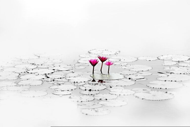 圖：Pixabay
