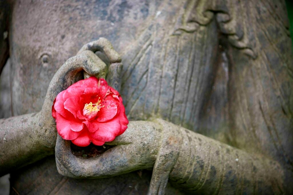 「相即」的教導——一行禪師的初戀故事（三）