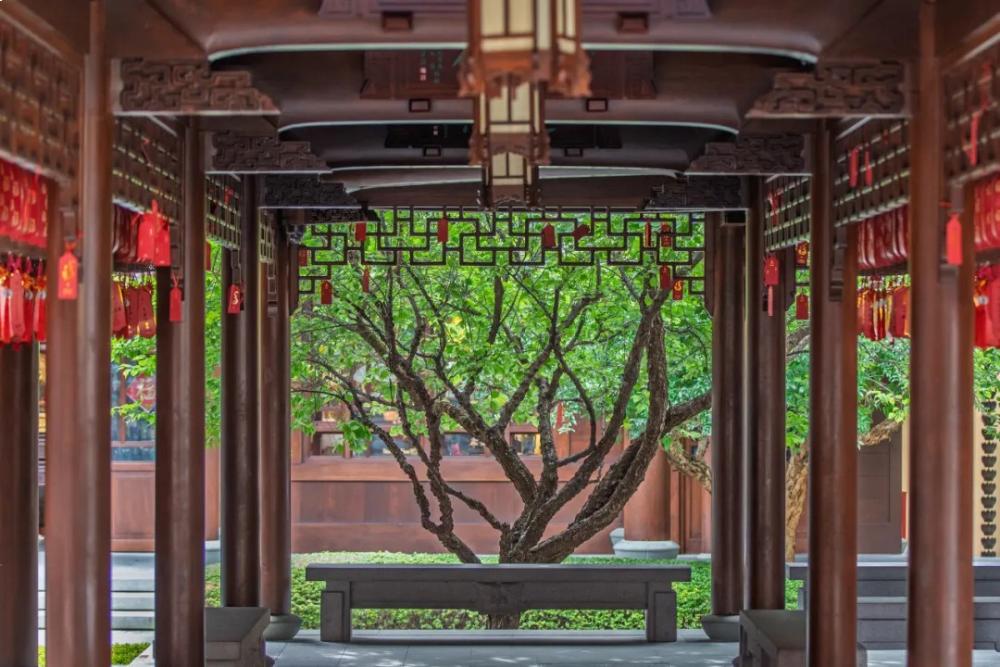 （圖：上海玉佛禪寺）